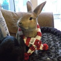 Profile Picture of Heather Soles (@heather-soles) on Quora