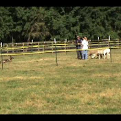 Profile Picture of Jean Richardson (@trndk9z) on Youtube