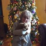 Profile Picture of Chris Perrett (@c.perrett) on Instagram