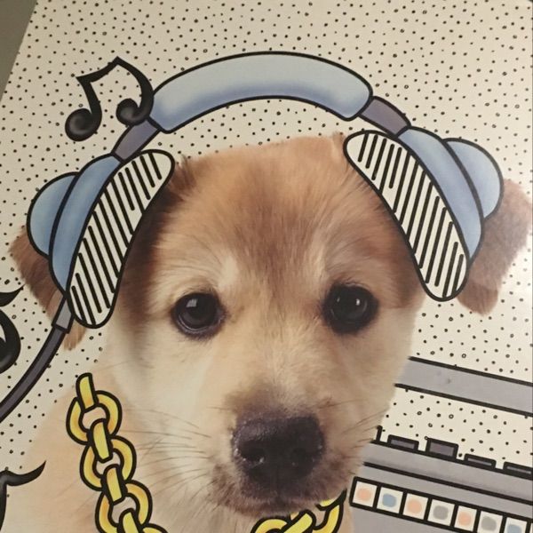 Profile Picture of Debbie Bheecham (@debbiebheecham) on Tiktok