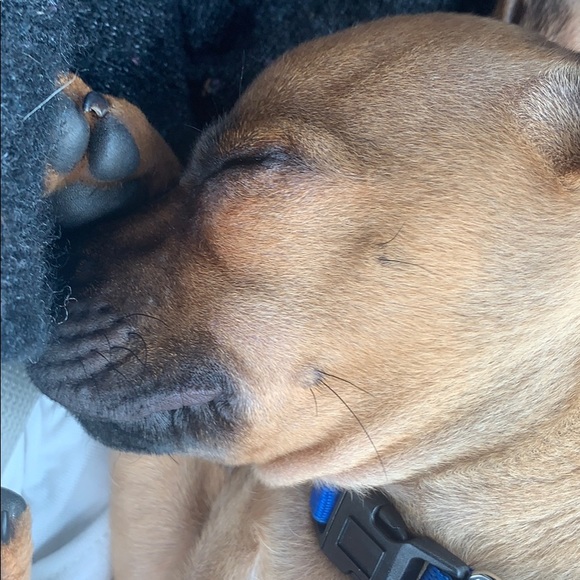 Krista Notman - Poshmark Profile Picture of Krista Notman (@kristanotman) on Poshmark