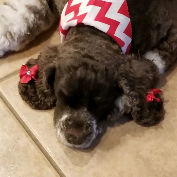 Profile Picture of Donna Clary (@donnaclary912) on Poshmark