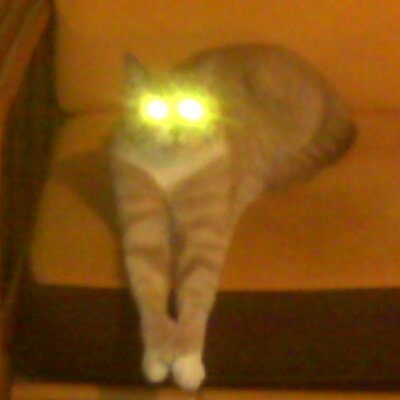 Profile Picture of Kevin Patrick (@SoManyRecords) on Twitter