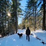 Profile Picture of Adam Peabody (@peabodyadam8) on Instagram