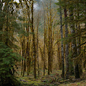 Profile Picture of Jason Boddy (@jasonboddy923) on Youtube