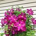 Profile Picture of Phyllis Lawler (Phyllis Hausmann Lawler) (@phyllis.lawler) on Facebook