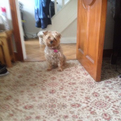 Profile Picture of Jonathanfinnerty (@Jonathanfinner5) on Twitter