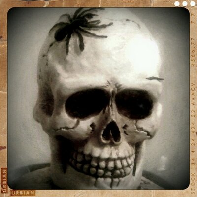 Profile Picture of Pat Mullowney (@Cloverstrike) on Twitter