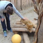 Profile Picture of Dávid Sekerák (@dsekerak) on Facebook