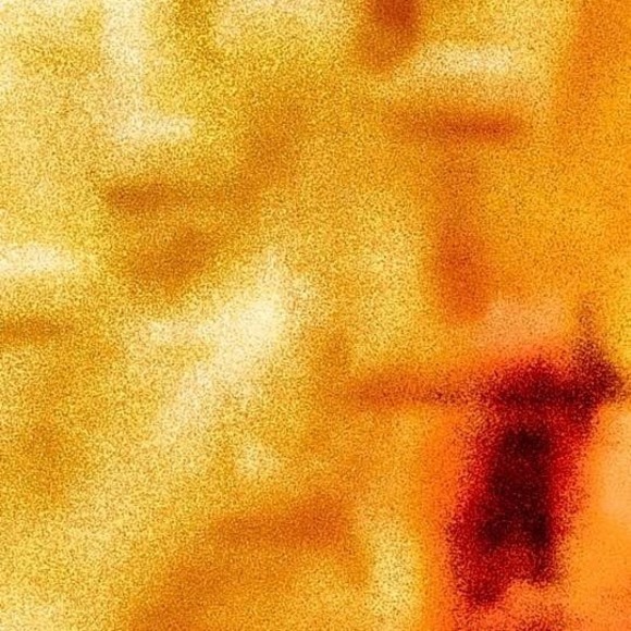 Profile Picture of Dmitry Berman (@dmitrybman) on Poshmark