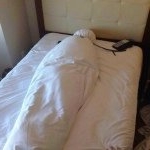 Profile Picture of Alex (@alex_piboody) on Instagram