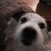 Profile Picture of Eric Boots (@eric.boots.75) on Facebook