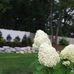 Profile Picture of Evan Mattos Landscaping (@evanmattos.landscaping) on Facebook