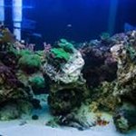 Profile Picture of Christopher Hendrickson (@hendrickson_christopher) on Instagram