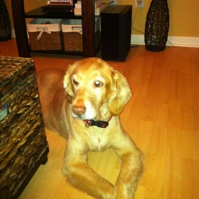 Profile Picture of Tyler Holt (@tylerholt9) on Twitter