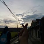 Profile Picture of MICHAEL MILLO✌ (@michael_millo_2145) on Instagram