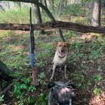 Profile Picture of Mark Bardwell (@markakilles) on Instagram