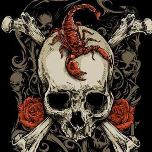 Profile Picture of Tina Xiang (@tinaxiang) on Poshmark