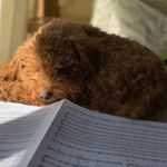 Junko Shigeno - Instagram Profile Picture of Junko Shigeno (@shigenojunko) on Instagram