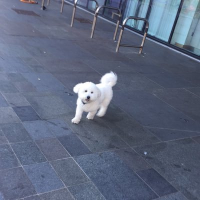 Profile Picture of Tracy Rose (@Tracy_nugent) on Twitter