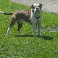 Profile Picture of Jim Logan (@jim-logan-33) on Quora