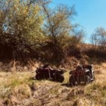 Profile Picture of Mike (@mike_hach) on Instagram