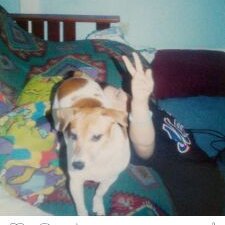 Profile Picture of Travis Thomson (@TSquare73) on Twitter