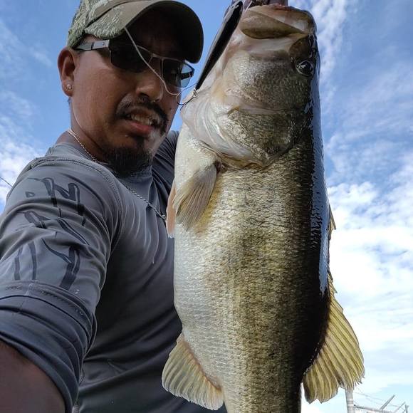 Profile Picture of Felipe Barron (@felipebarron) on Poshmark