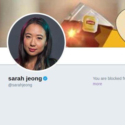 Profile Picture of Proudly Blocked By The Racist Sarah Jeong (@dj_mtg) on Twitter