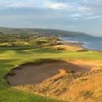 Tom Callaway - Instagram Profile Picture of Tom Callaway (@callaway1715) on Instagram