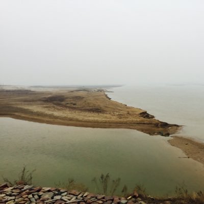 Profile Picture of Crystal Li (@Crystalli66) on Twitter