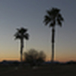 Profile Picture of Sean  McGee (@gottahaveitnyc) on Flickr