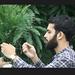 Profile Picture of Joshua Benjamin Solomon (@joshuabensolomon) on Instagram