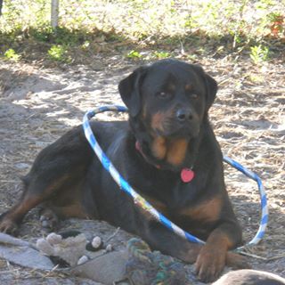 Profile Picture of Jeff Lugibill (@Jeff-Lugibill) on Facebook