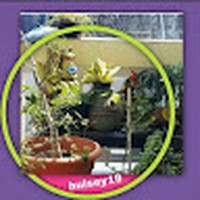 Profile Picture of Kent Hulse (@kent-hulse) on Quora