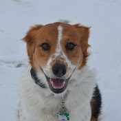 Profile Picture of Lori DeCosta (@ladec16) on Youtube