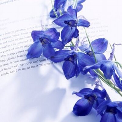 Profile Picture of Joy Broussard (@KamyraKatt) on Twitter