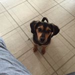 Profile Picture of Alan Alburez (@alan.d_0) on Instagram