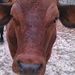 Profile Picture of Richard Wessels (@richardw4382) on Pinterest