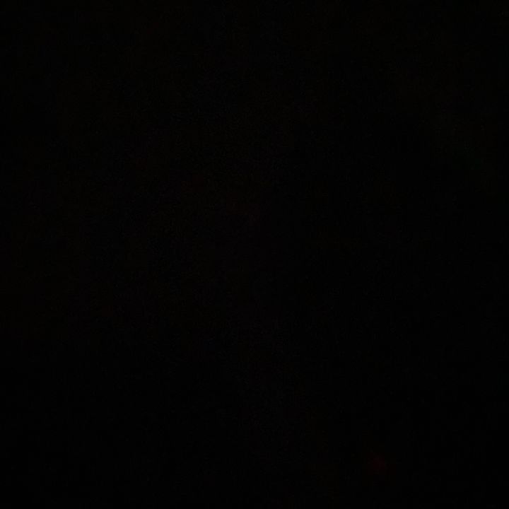 Profile Picture of carol.steyer (@carol.steyer) on Tiktok