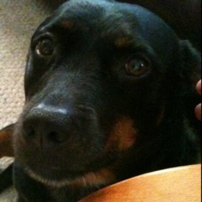 Profile Picture of Leah Adkins (@Blueswoman123) on Twitter