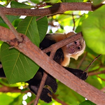 Profile Picture of Robert Wilson (@rawilson282814) on Flickr