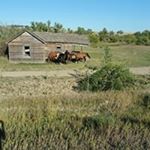Profile Picture of Craig Buckner (@bucknercraig) on Instagram