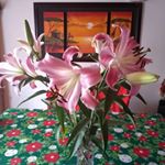 Profile Picture of isabel ceballos (@isabel_ceballos28) on Instagram