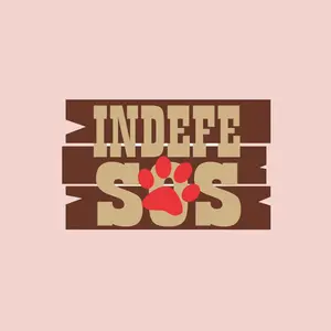 Profile Picture of ONG Indefesos (@osindefesos) on Tiktok
