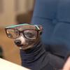 Profile Picture of jordanmodjeski (@jordan.modjeski) on Tiktok