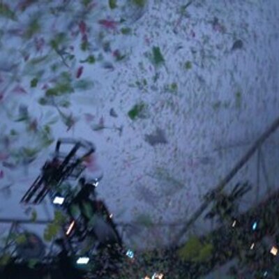 Profile Picture of Anna Hetherington (@chamro) on Twitter