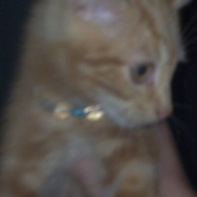 Profile Picture of David Colquhoun (@DavidColquhoun5) on Twitter