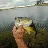 Profile Picture of jimmymcmahan638 (@@jimmymcmahan638) on Tiktok