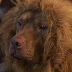 Profile Picture of Aaron Sedlacek (@aaron.sedlacek.3) on Facebook